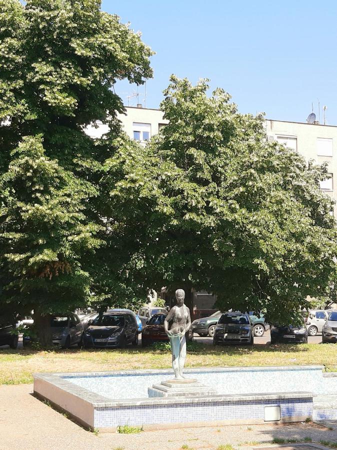 Ada, New Belgrade Leilighet Eksteriør bilde