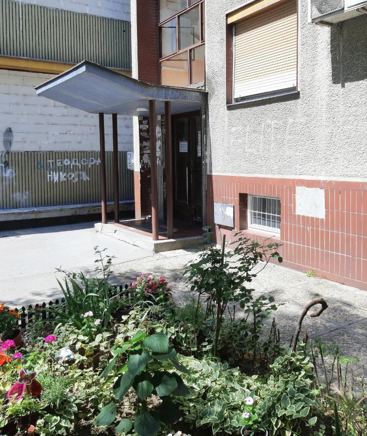 Ada, New Belgrade Leilighet Eksteriør bilde